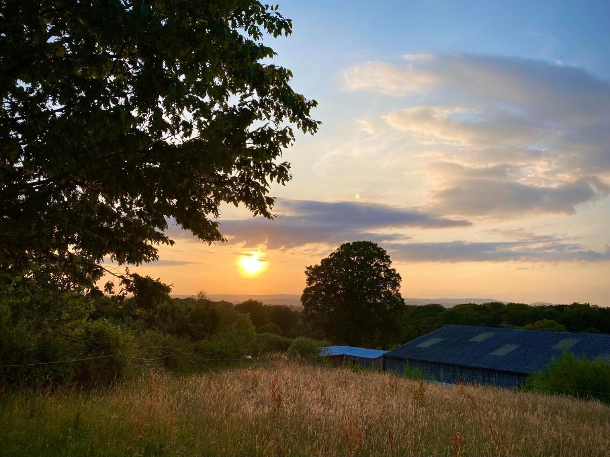 Cherry Tree Glamping Lodge Wellington  Exterior photo